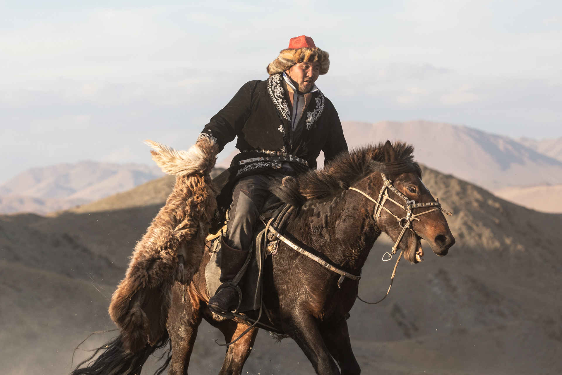 Reiter mit Schaf auf Adlerjäger-Festival in der Mongolei