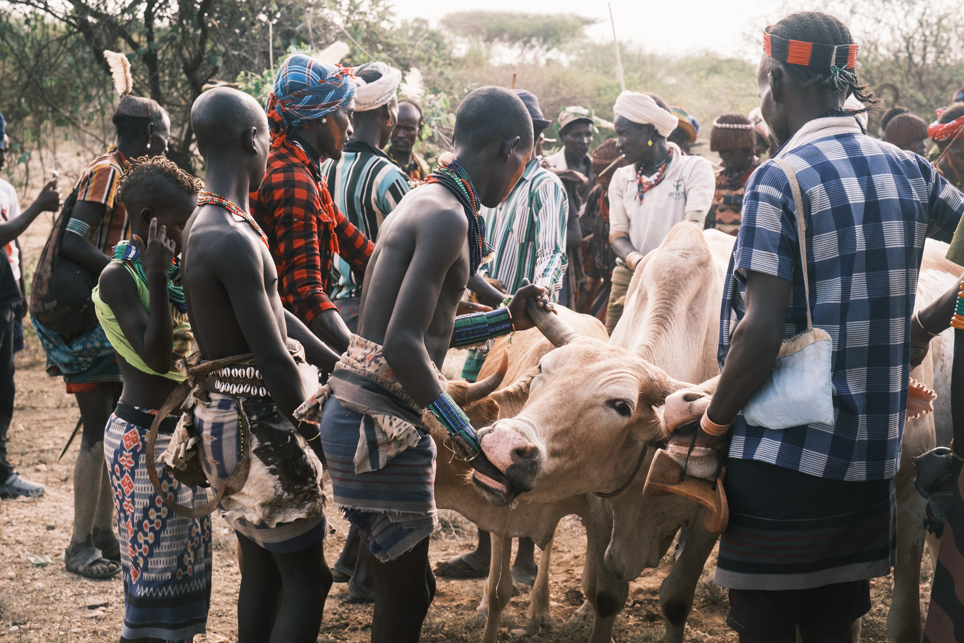 Vorbereitung zur "Bull Jumping Ceremony" beim Volksstamm der Hamer in Äthiopien.