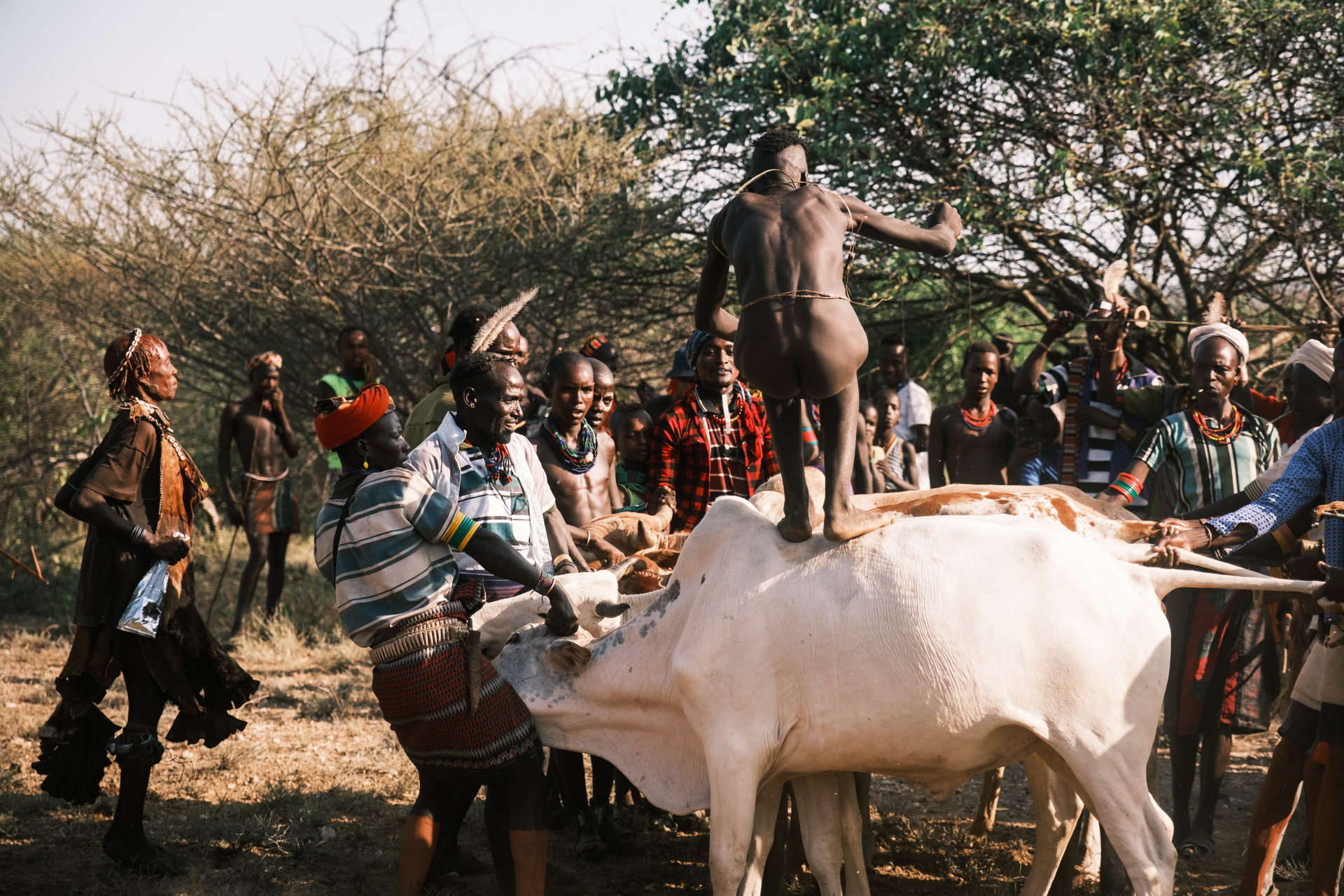 Eine "Bull Jumping Ceremony" beim Volksstamm der Hamer in Äthiopien.