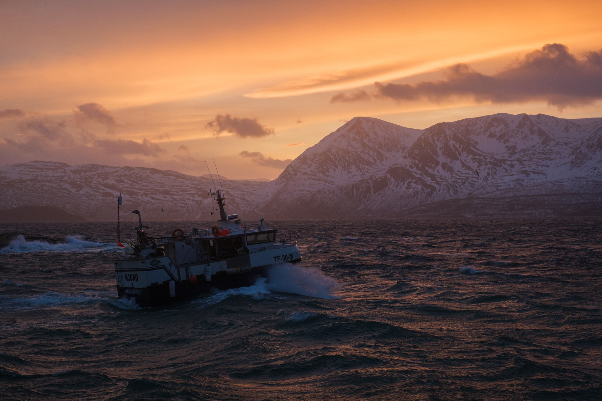 A fishing boat off the island of Spildra in Northern Norway.